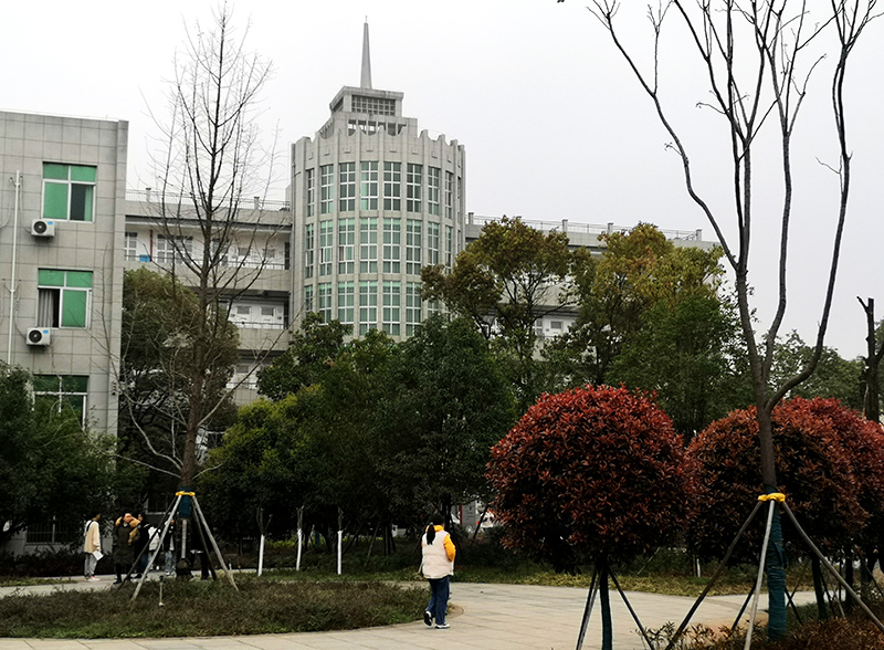 衡阳幼高专🗜：春色满园迎开学